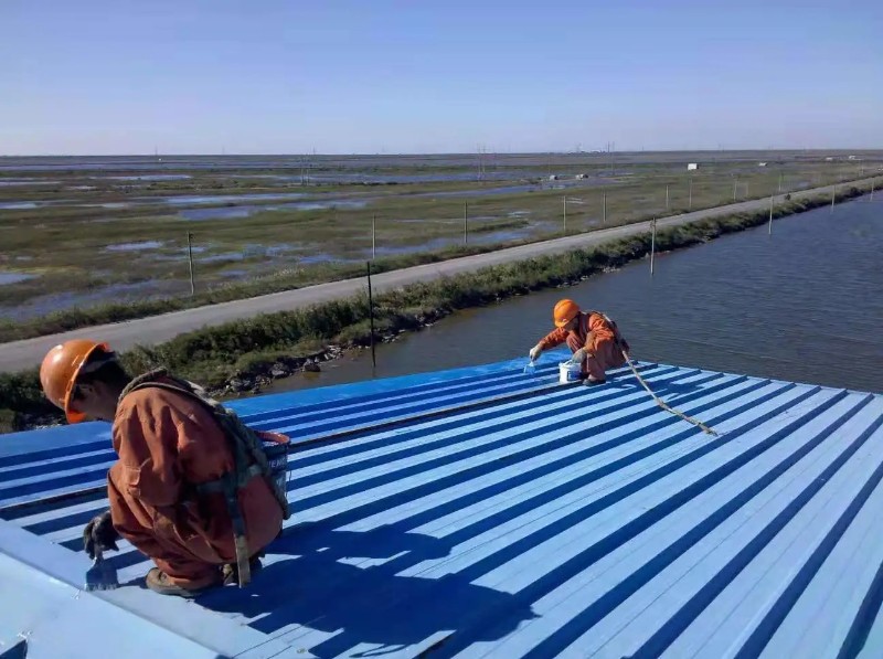 泰山钢结构屋面漏水原因